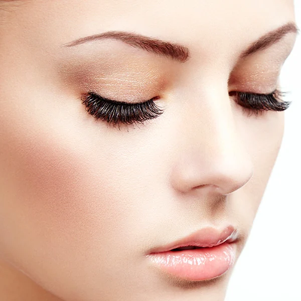 Freshly shaped and tinted brows — close-up result